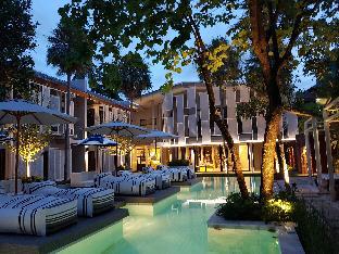 treevana club chiangmai