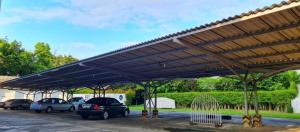 the pacific cool chic