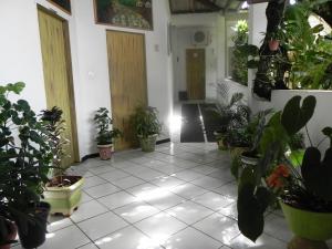 santarem