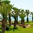 marpessa blue beach resort and spa hotel