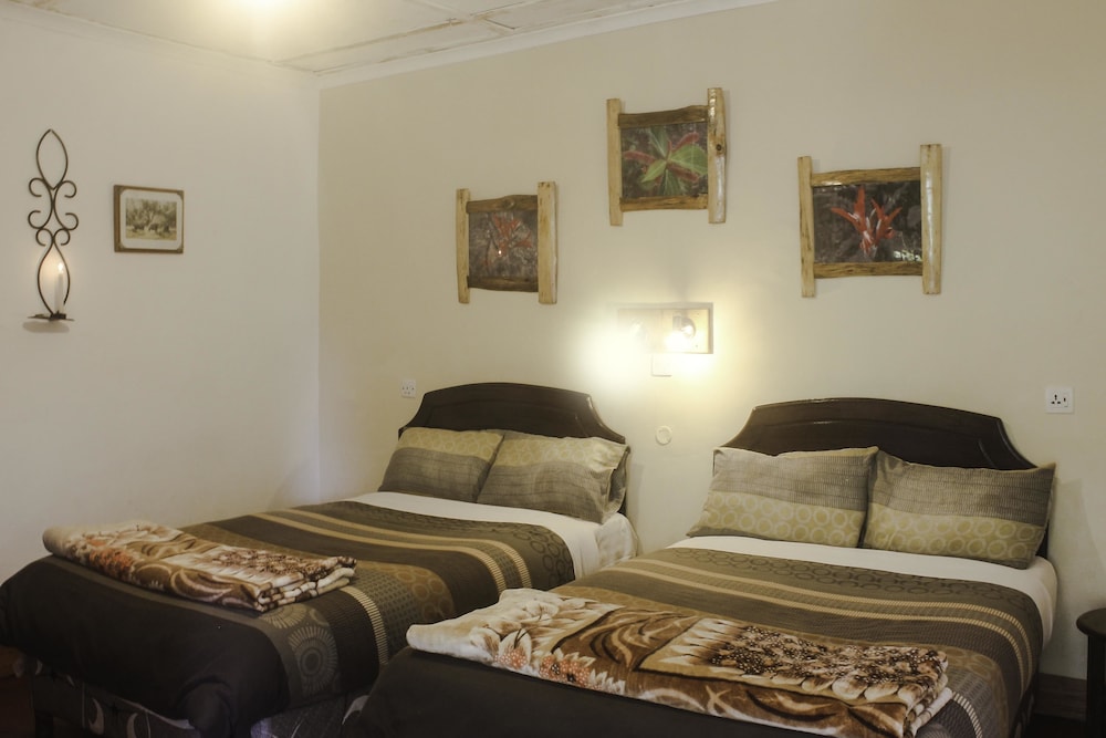 lawns hotel