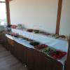 dort mevsim suit otel