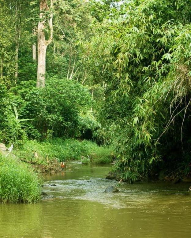 munnar