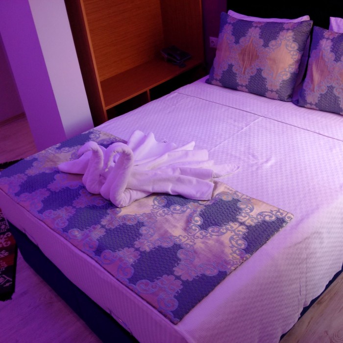 otel safran palas