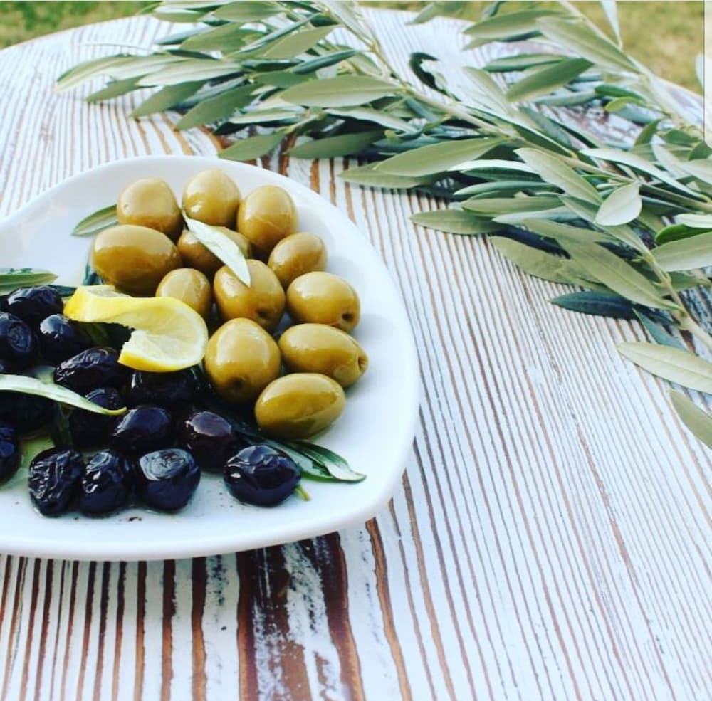 vinifera ephesus hotel