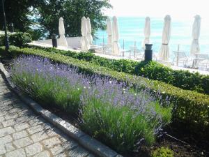 hvd boutique hotel oasis