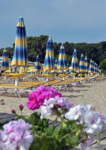 hvd boutique hotel oasis