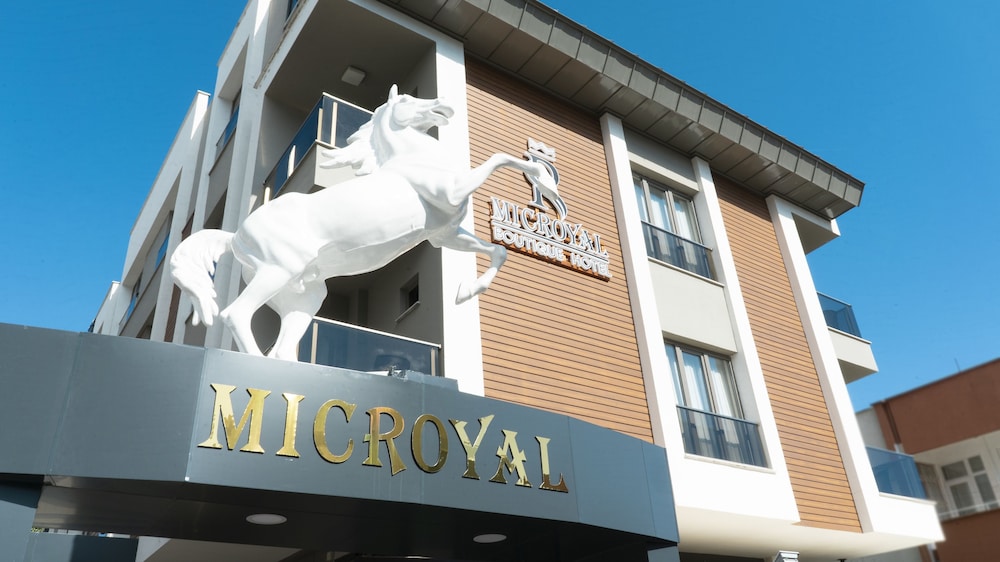 mic royal hotel