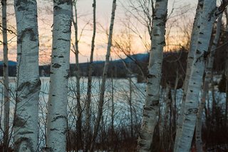rangeley