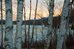 rangeley