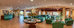 hotel dp olbia sardinia