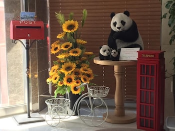 jeju r hotel and guest house hostel