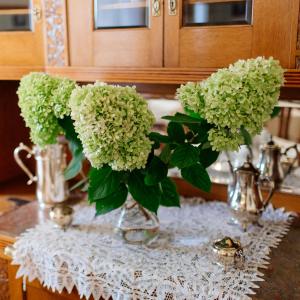 boutique hotel nossek