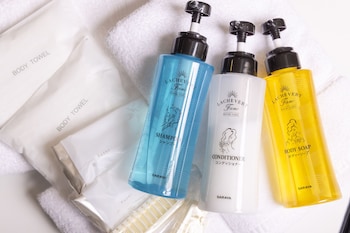 city hotel airport in prince