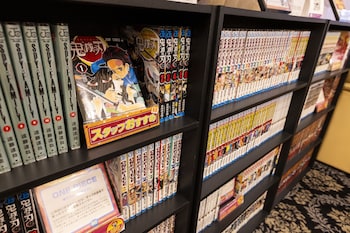 city hotel airport in prince