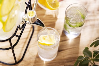 city hotel airport in prince