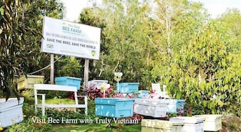 kim huong quang hotel