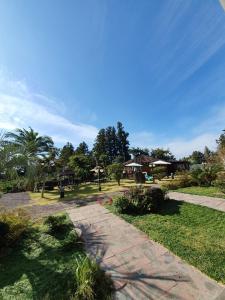 jeju m resort