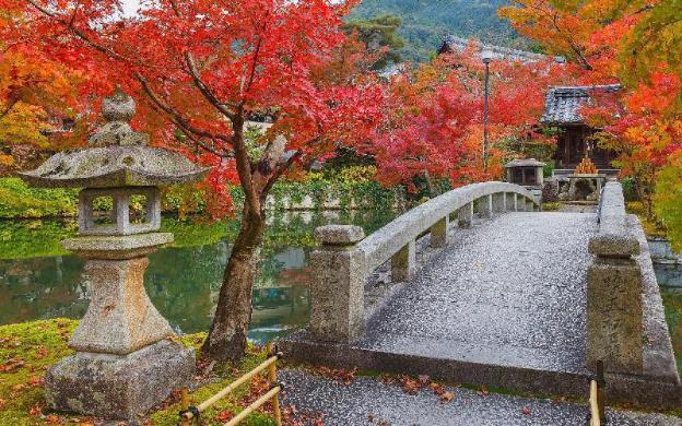 kyoto