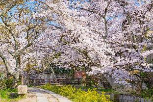 kyoto