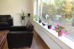 the dial house guest house