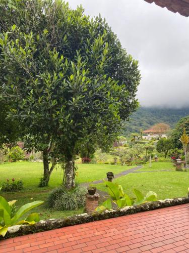 buyan resort
