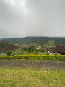 buyan resort