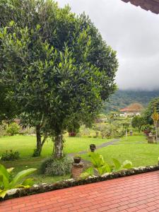 Buyan Resort,Bedugul>>Bali,2 star