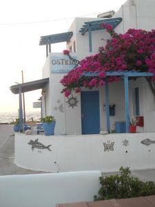ostria vento