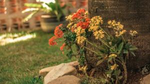 Chalés Terraviva,Pirenópolis>>Pirenopolis,3 star