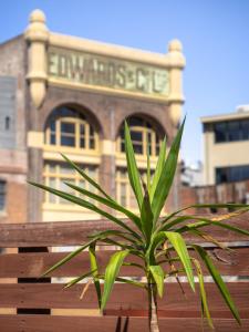 big backpackers hostel