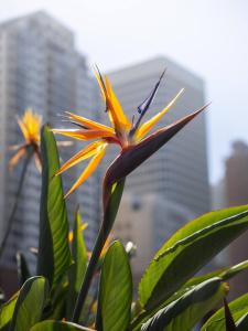 big backpackers hostel