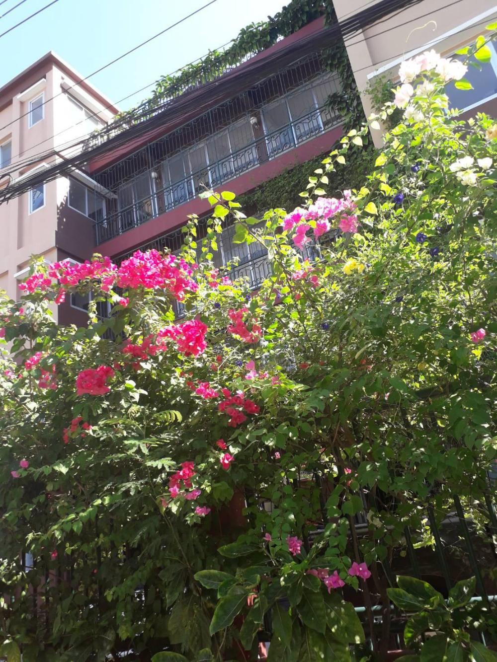 bangkok