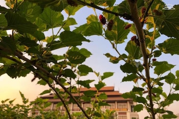 the choice hotel adults only