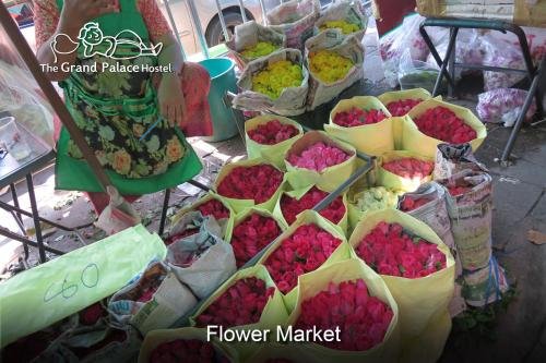 the grand palace hostel