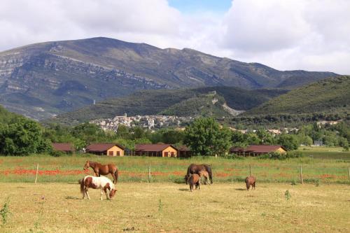 Wecamp Pirineos,Boltana>>Ainsa,2 star