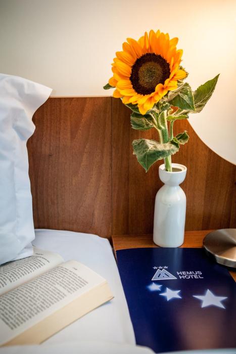 hemus hotel