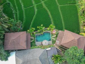 gusde tranquil villas by eps