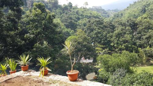 bantal guling villa bandung