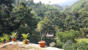bantal guling villa bandung