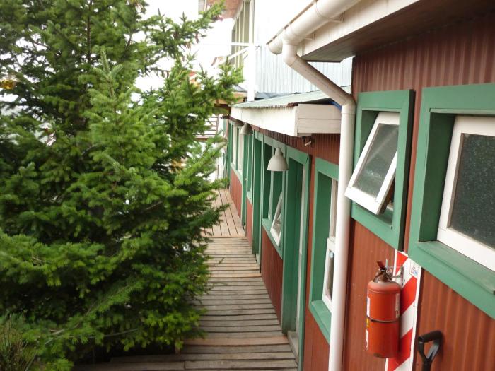 hostel los cormoranes