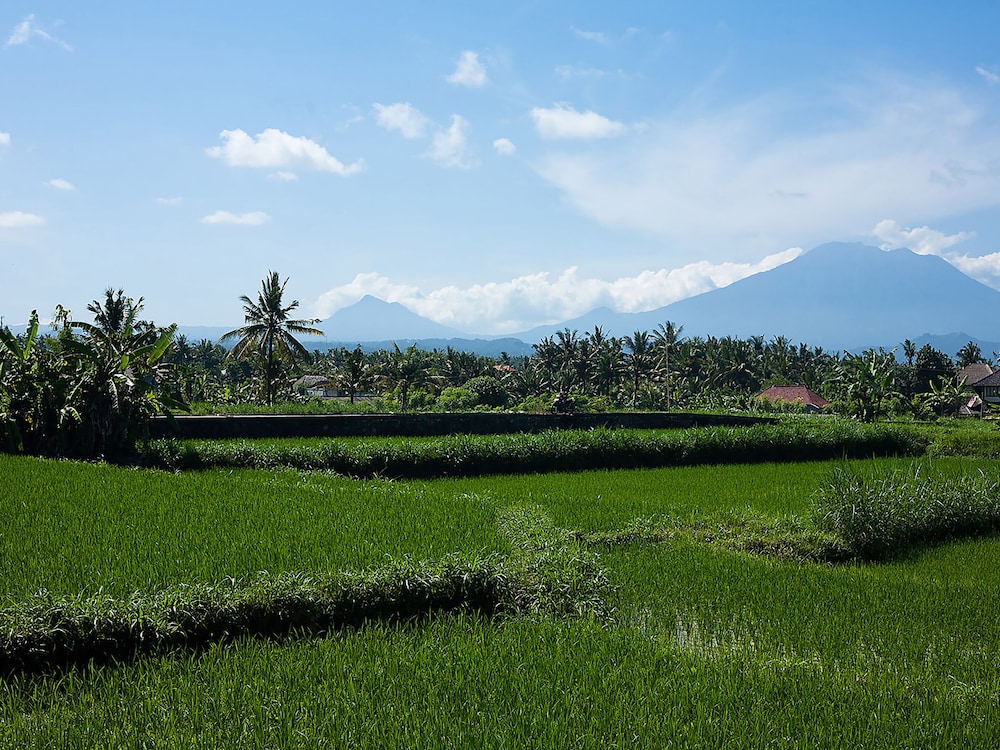 gianyar
