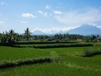 gianyar
