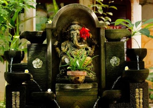 serenity eco guesthouse and yoga adults only