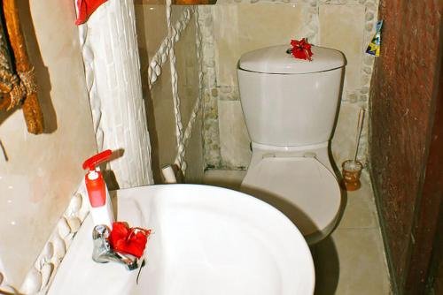 serenity eco guesthouse and yoga adults only