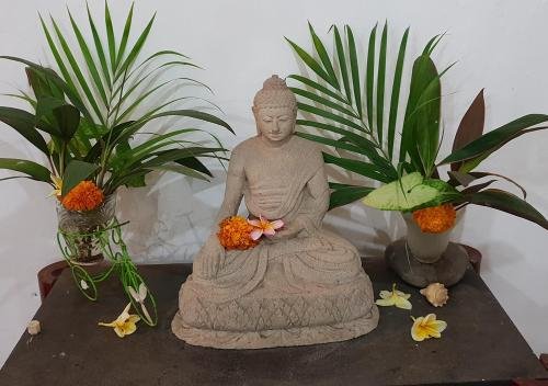 serenity eco guesthouse and yoga adults only