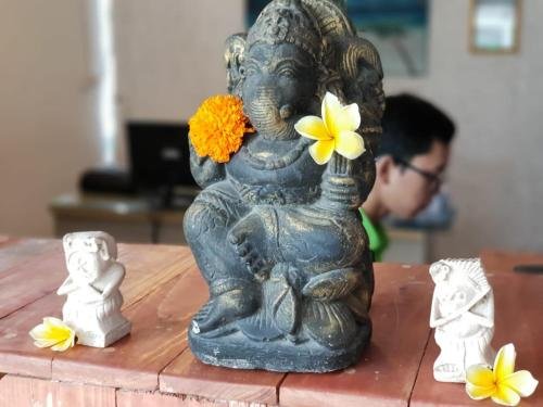 serenity eco guesthouse and yoga adults only