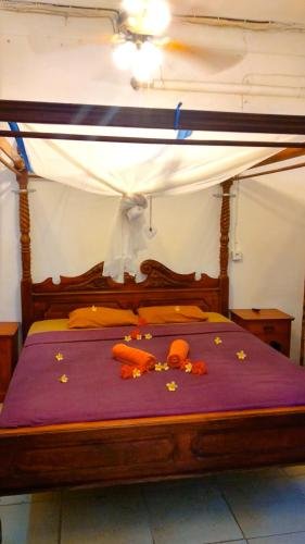 serenity eco guesthouse and yoga adults only