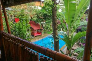 serenity eco guesthouse and yoga adults only