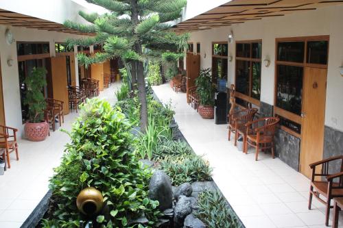hotel priangan cirebon